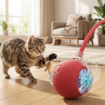 Gato jugando con la pelota rodante