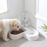 Perro comiendo del comedero